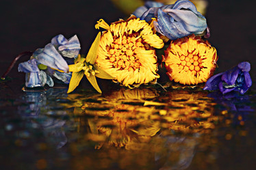 Similar image 10498161