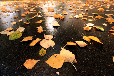 Similar image 10498170