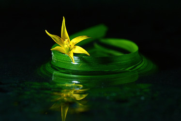 Similar image 10498171