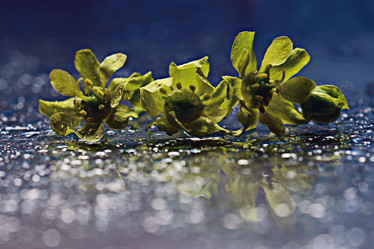 Similar image 10498175