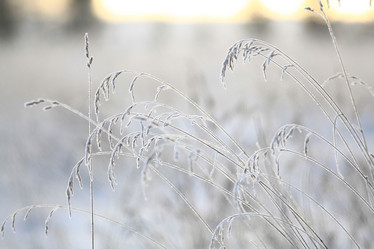 Similar image 10498176