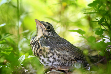 Similar image 10498181