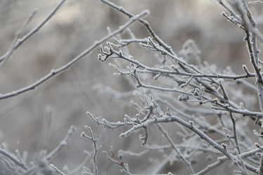 Similar image 10498182