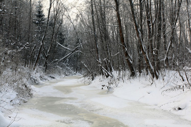 Similar image 10498187