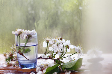 Similar image 10498199