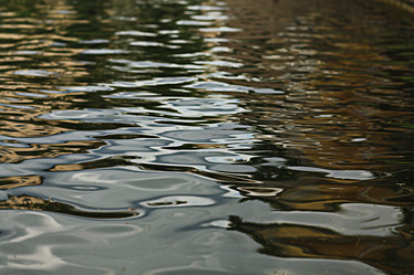 Similar image 10498208