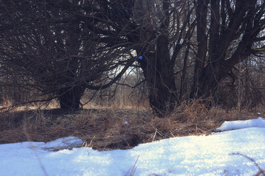 Similar image 10498209