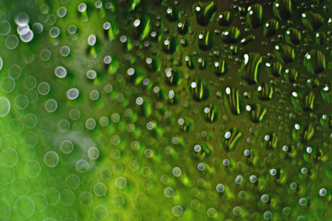 Similar image 10498211