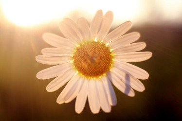 Similar image 10498221