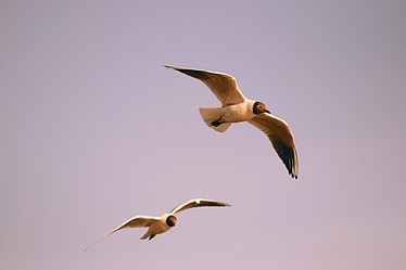 Similar image 10498239