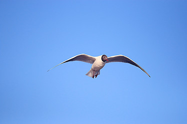 Similar image 10498241