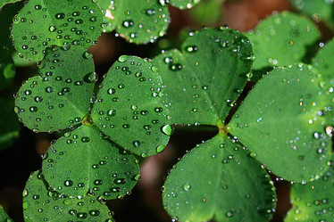 Similar image 10498243