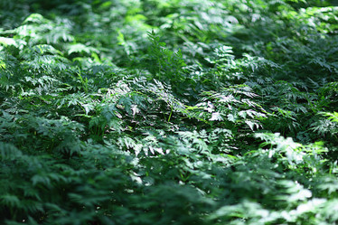 Similar image 10498247