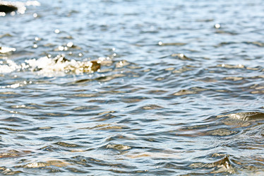 Similar image 10498252