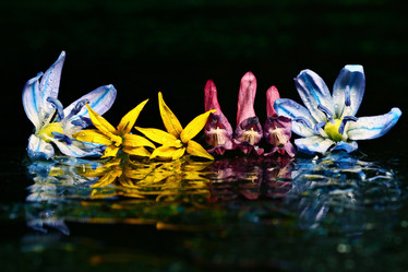 Similar image 10498260