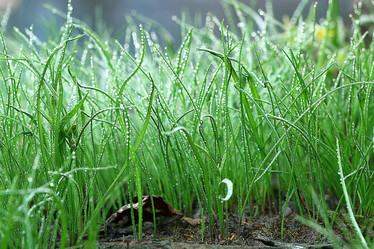 Similar image 10498263