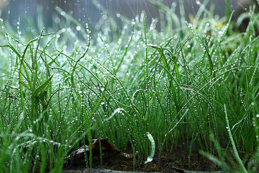 Similar image 10498264