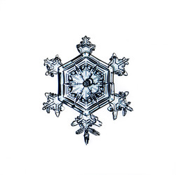 Similar image 10498269