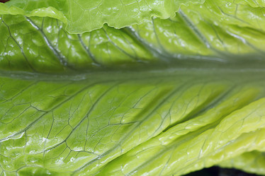 Similar image 10498273