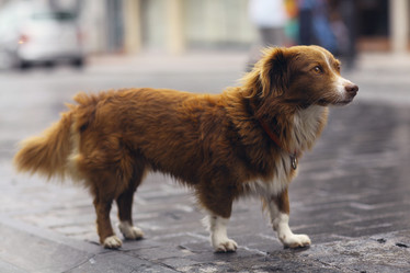 Similar image 10498274