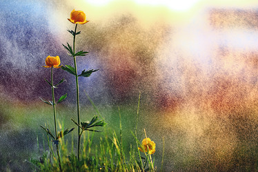 Similar image 10498275