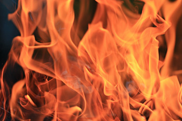 Similar image 10498282