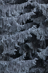 Similar image 10498296