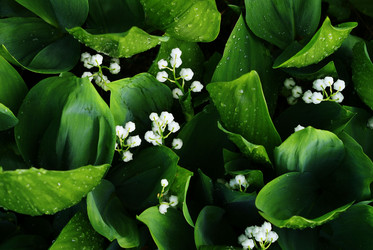 Similar image 10498301