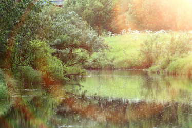 Similar image 10498310