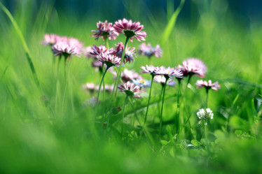 Similar image 10498311