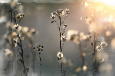 Similar image 10498314