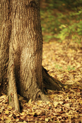 Similar image 10498318