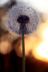 Similar image 10498320