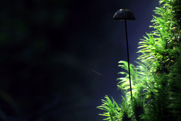 Similar image 10498325