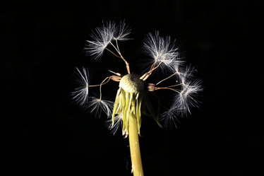 Similar image 10498329