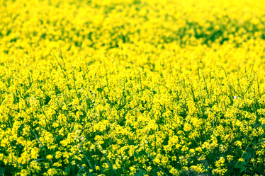 Similar image 10498331