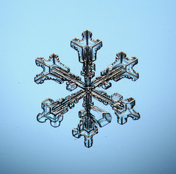 Similar image 10498332