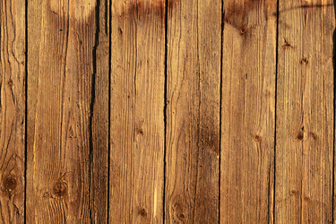 Similar image 10498338