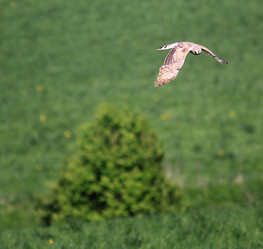 Similar image 10498339