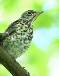 Similar image 10498341