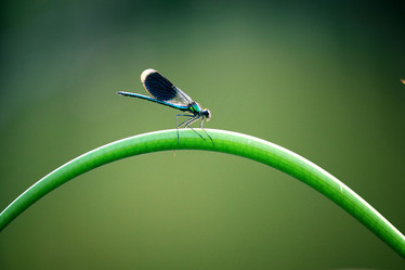 Similar image 10498353