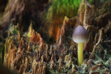 Similar image 10498359