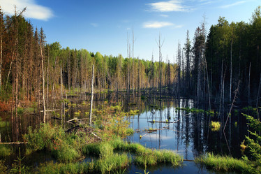 Similar image 10498360