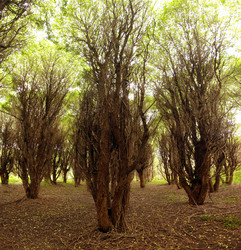 Similar image 10498362