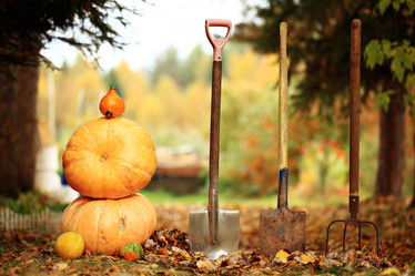 Similar image 10498374