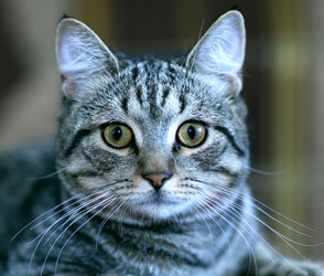 Similar image 10498378