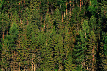 Similar image 10498381