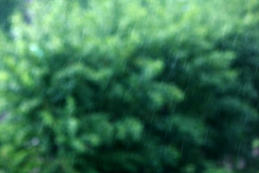 Similar image 10498382