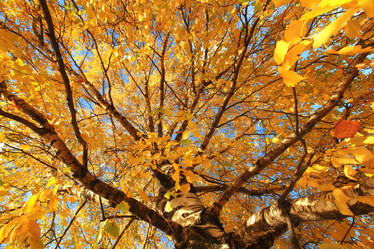 Similar image 10498383