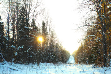 Similar image 10498387